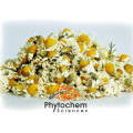Pure chamomile flowers treat skin inflammation extract powder